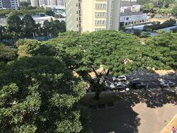 Blk 30 Jalan Klinik (Bukit Merah), HDB 3 Rooms #600609481
